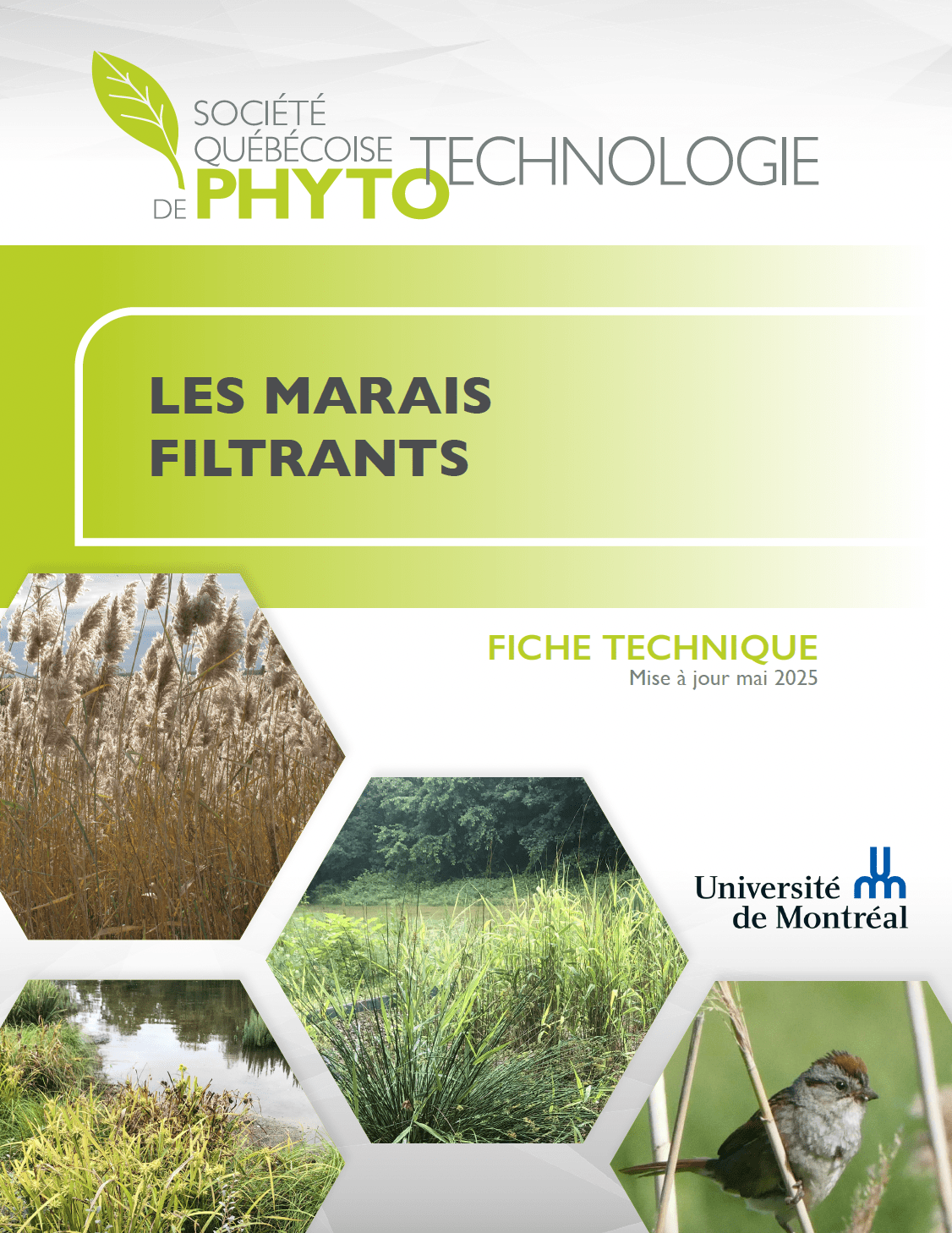 Couverture_FT_Marais filtrants-2_2025