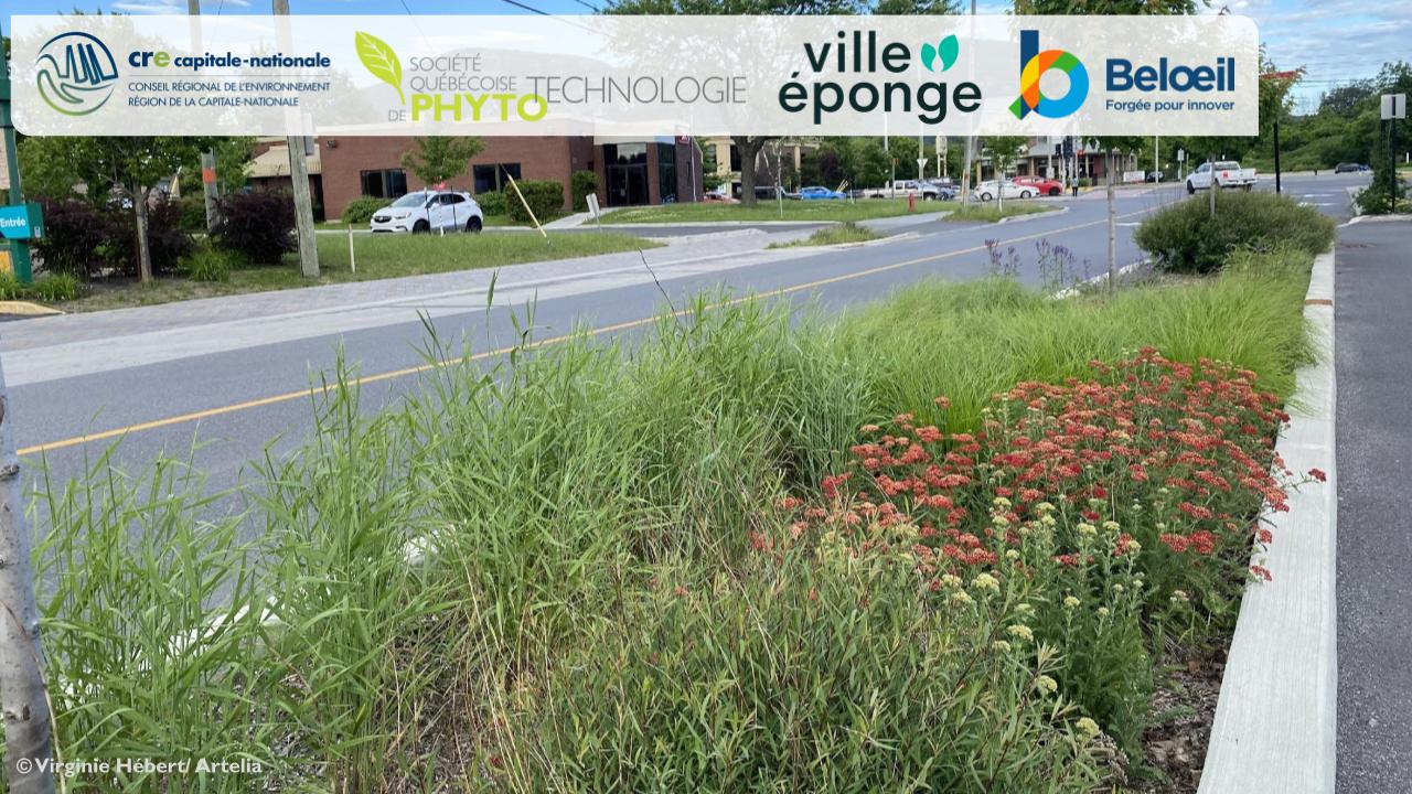 Visuel RS visite 2025-06-19.pptx (1)