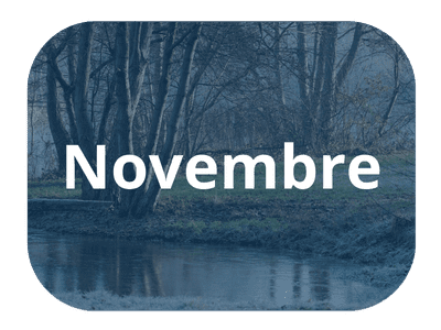 SW EPA infolettres_Novembre 2025