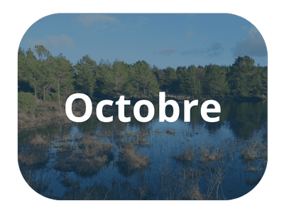 SW EPA infolettres_Octobre 2025