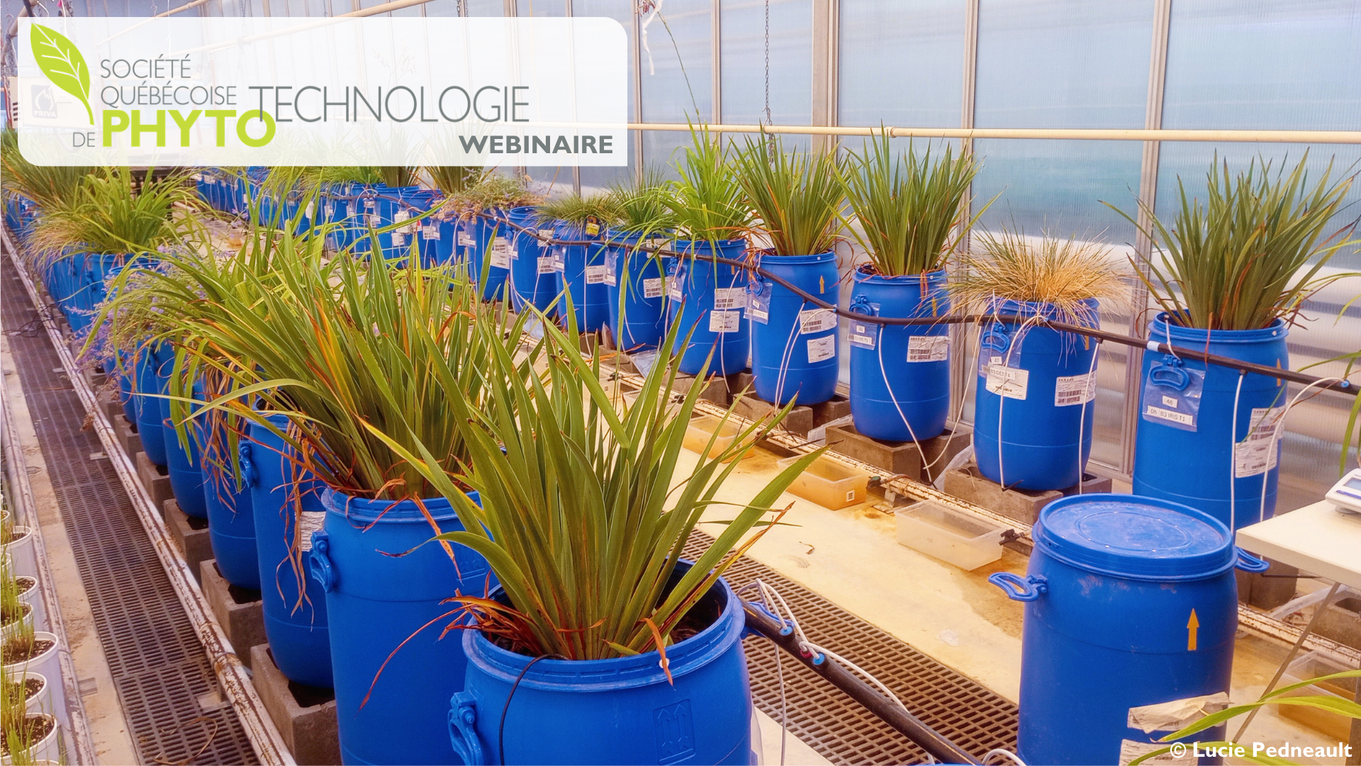 Visuels_Webinaire_10-04-2026.pptx