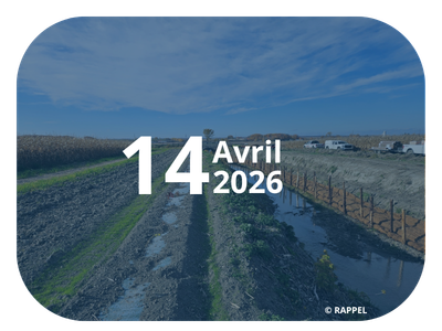 Atelier de discussion 1 archive