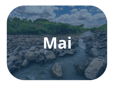 Mai infolettre EPA SW