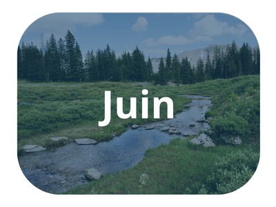 Infolettre EPA ju9nSW