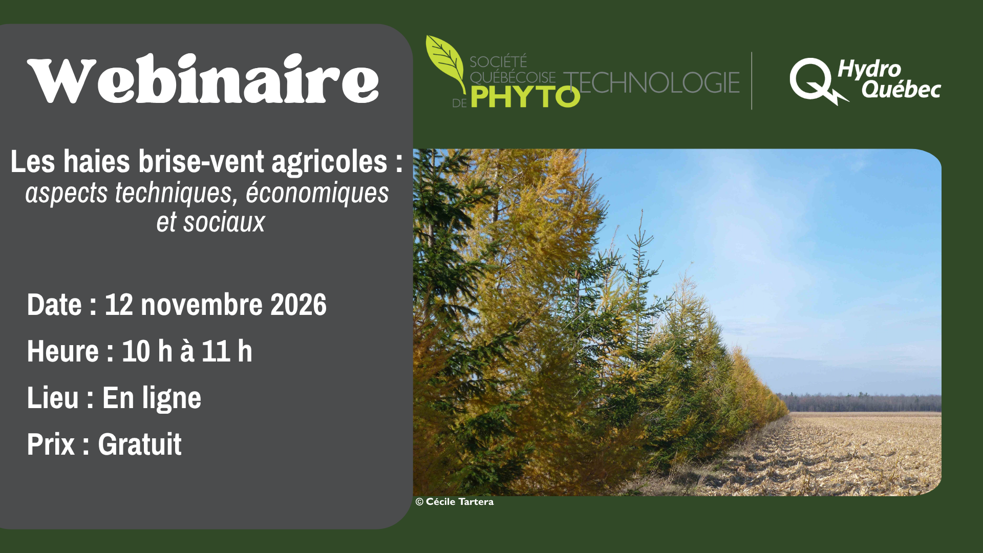 Webinaire visuel fb 12 novembre